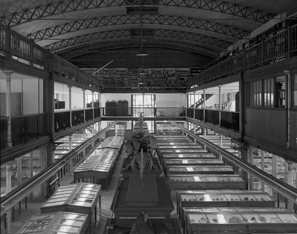 Historic photograph of the Wagner Free Institute second-floor exhibit hall, photographed in 2000